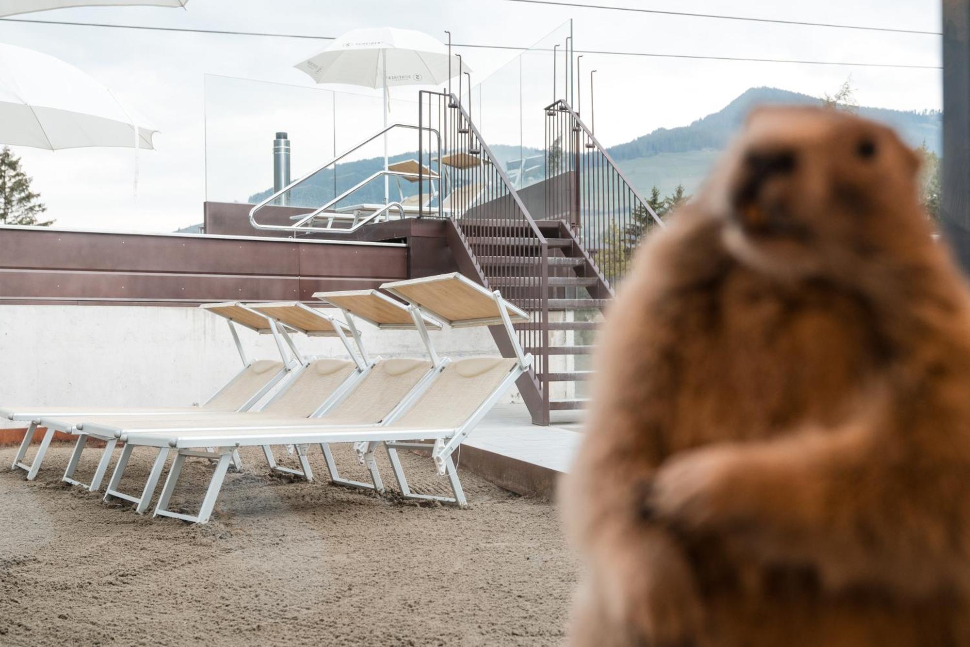 Al Plan, A Mountain Moving Hotel ซาน วิจลิโอ ดิ มาเรบเบ ภายนอก รูปภาพ